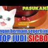 INFO SLOT GACOR HARI INI | MEGA SICBO PRAGMATIC | CARA MAIN SICBO CASINO ONLINE #2