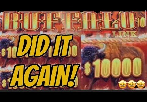😮😮😮BIG WIN just 4$ bet!!Buffalo link slot machine.