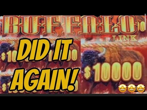 😮😮😮BIG WIN just 4$ bet!!Buffalo link slot machine.