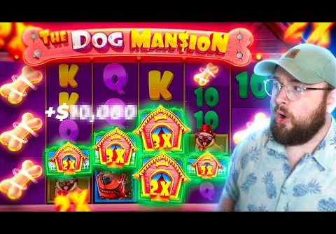 I GOT THE BIGGEST WIN I HAVE EVER SEEN ON THE NEW DOG HOUSE MANSION SLOT!