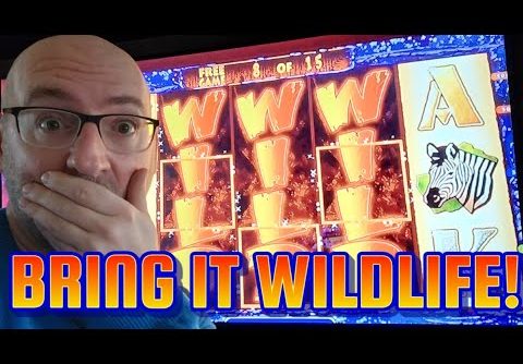 MY BIGGEST WIN ON WILDLIFE! BRING IT! 4 SYMBOL TRIGGER MAX BET