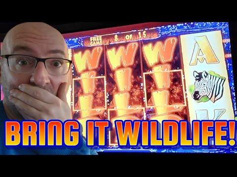 MY BIGGEST WIN ON WILDLIFE! BRING IT! 4 SYMBOL TRIGGER MAX BET