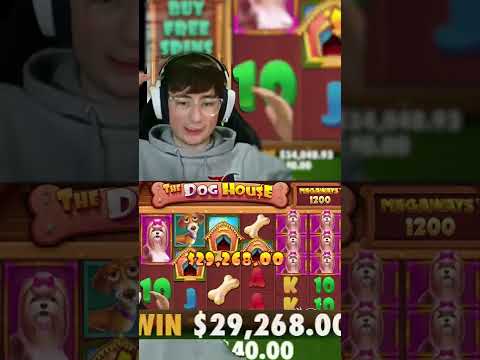 OUR BIGGEST SLOT WIN EVER *$30.000* On DOG HOUSE MEGAWAYS!! #shorts #slots #doghousemegaways