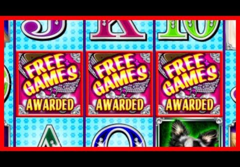 MALTESE FORTUNE SLOT  💎🐶 +45 FREE SPINS ($75 BETS) 🐶💎 BIG WINS! OLD BUT GOLD SLOTS!