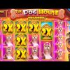 RECORD $200,000+ WIN On DOG HOUSE MEGAWAYS!! (SENSATIONAL)