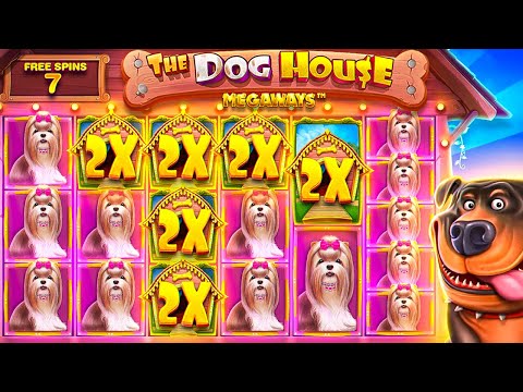 RECORD $200,000+ WIN On DOG HOUSE MEGAWAYS!! (SENSATIONAL)