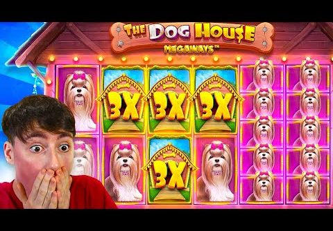 OUR BIGGEST WIN EVER On DOG HOUSE MEGAWAYS!! (MASSIVE $30,000 WIN)