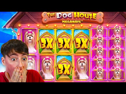 OUR BIGGEST WIN EVER On DOG HOUSE MEGAWAYS!! (MASSIVE $30,000 WIN)