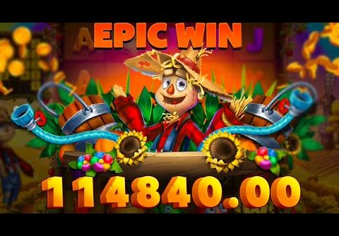 NEW RECORD BREAKING BIG WIN 🤑 WILD YIELD SLOT OMG‼️