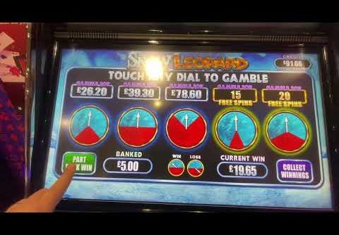 ** Bookies Slots Big Win ** Playing SNOW LEOPARD !!