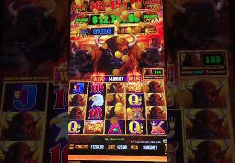 Buffalo cash slot machine big win hand pay! 🎰