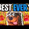 THE DOG HOUSE MEGAWAYS 🐶 MEGA BIG WIN 🔥 RARE 5 SCATTER BONUS OMG NO WAY‼️