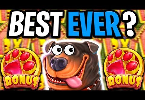 THE DOG HOUSE MEGAWAYS 🐶 MEGA BIG WIN 🔥 RARE 5 SCATTER BONUS OMG NO WAY‼️