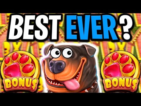 THE DOG HOUSE MEGAWAYS 🐶 MEGA BIG WIN 🔥 RARE 5 SCATTER BONUS OMG NO WAY‼️