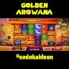 GOLDEN AROWANA BEST SLOT 😁 #higgsdomino #shorts #goldenarowana #megawin #bigwin