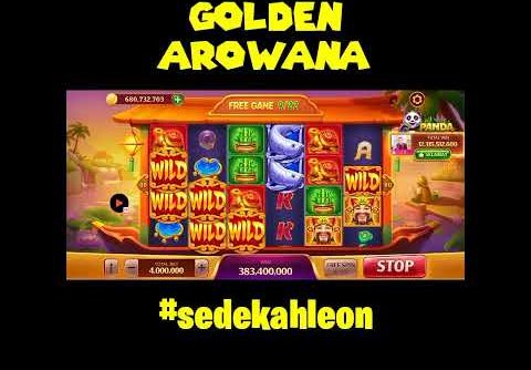 GOLDEN AROWANA BEST SLOT 😁 #higgsdomino #shorts #goldenarowana #megawin #bigwin