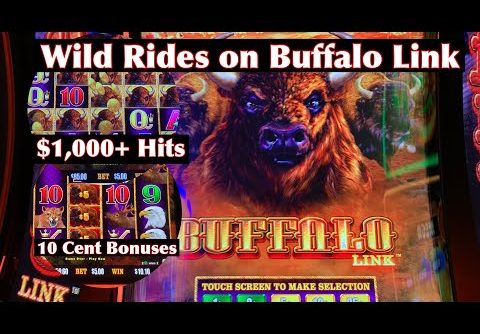 Wild Rides on Buffalo Link – This Slot Is Super Volatile!