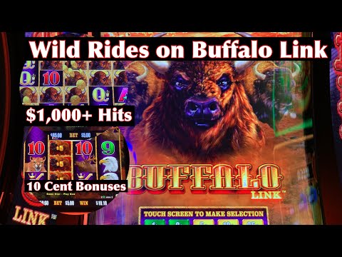 Wild Rides on Buffalo Link – This Slot Is Super Volatile!