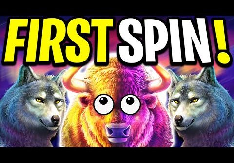 BUFFALO KING MEGWAYS SLOT 🔥 FIRST SPIN BIG WIN 🤑 MAX BET BONUS BUYS‼️