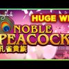 SHOCKING HUGE WIN! Noble Peacock Slot – LOVED IT!!