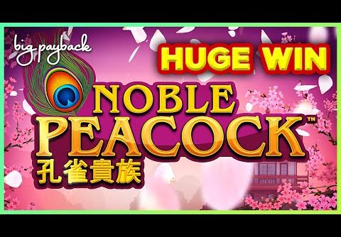 SHOCKING HUGE WIN! Noble Peacock Slot – LOVED IT!!