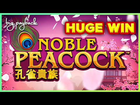 SHOCKING HUGE WIN! Noble Peacock Slot – LOVED IT!!