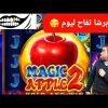 MAGIC APPLE 2 CASINO LANAYIZ MEGAWIN عكعك