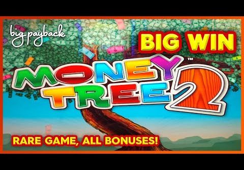 Money Tree 2 Slot – BIG WIN SESSION!