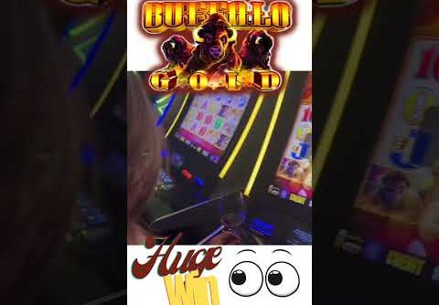 Huge Win!! Buffalo Gold Slot #casino #shorts #slots
