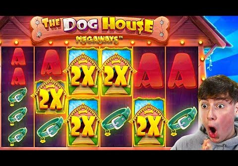 ABSOLUTELY HUGE 800X+ WIN On DOG HOUSE MEGAWAYS!!