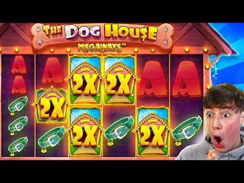 ABSOLUTELY HUGE 800X+ WIN On DOG HOUSE MEGAWAYS!!