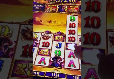 NEW Buffalo Ascension Bonus BIG WIN! #shorts