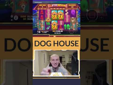 INSANE BIGGEST WIN! 1253X on DOG HOUSE MEGAWAYS Slot ! #gambling #slots #bigwin