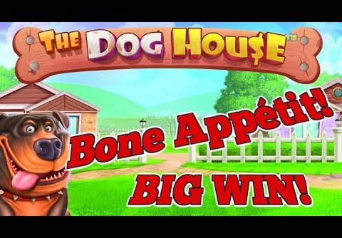 💥 DOG HOUSE SLOT BIG WIN 🔥 HIGH STAKES 🎰 PRAGMATIC PLAY