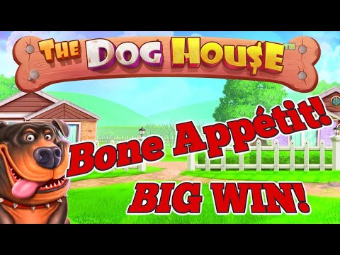 💥 DOG HOUSE SLOT BIG WIN 🔥 HIGH STAKES 🎰 PRAGMATIC PLAY