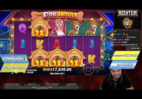 The Dog House  top 5 BIG WINS   Record win on slot