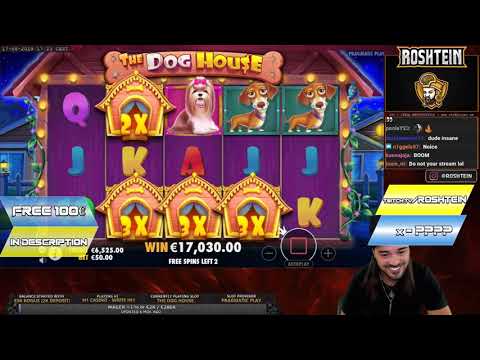 The Dog House  top 5 BIG WINS   Record win on slot