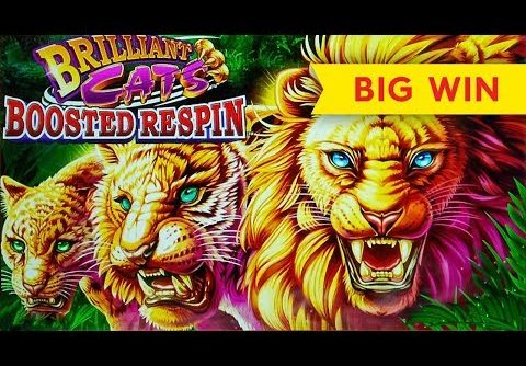 Brilliant Cats Boosted Respin Slot – BIG WIN BONUS!