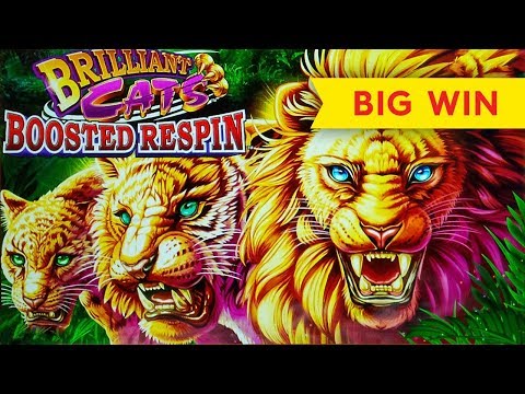 Brilliant Cats Boosted Respin Slot – BIG WIN BONUS!