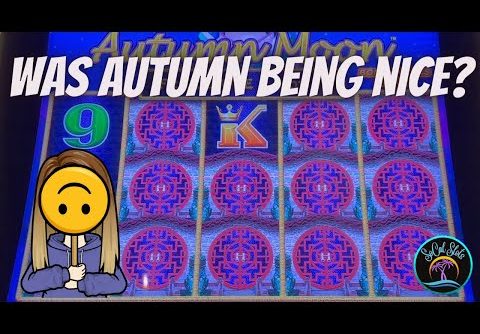 Fun with Autumn Moon and Bestie’s BIG WIN BONUS!! #casino #dragonlink #slots #jackpot