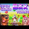 SLOT OYUNLARI 💥💥SİZDEN GELEN MAX WiN KAZANÇLAR 29🤩🤩 #slot #slotoyunları #casino