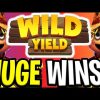 EPIC WILD YIELD SLOT 🔥 €10.000 BONUS SPINS‼️ *** BIG WINS ***