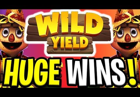 EPIC WILD YIELD SLOT 🔥 €10.000 BONUS SPINS‼️ *** BIG WINS ***