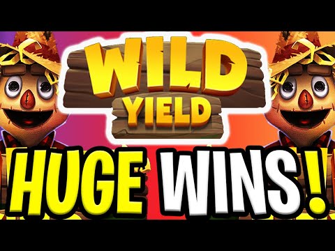 EPIC WILD YIELD SLOT 🔥 €10.000 BONUS SPINS‼️ *** BIG WINS ***