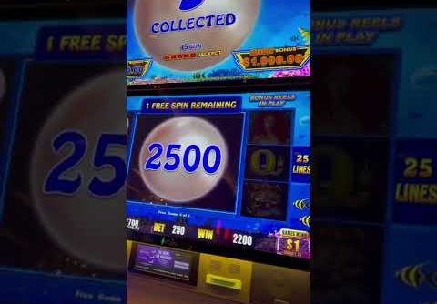 $250 Max Bet Lightning Link Slot BIG JACKPOT #shorts