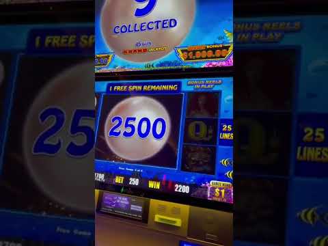 $250 Max Bet Lightning Link Slot BIG JACKPOT #shorts