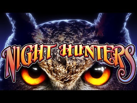 Night Hunters Slot – BIG WIN SESSION!