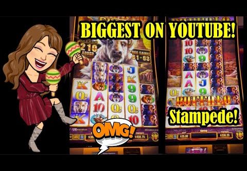 RECORD BREAKING JACKPOT ON BUFFALO CHIEF!!!!! Plus $100 Cleo 2 at Aria! Highs and Lows of Slots!