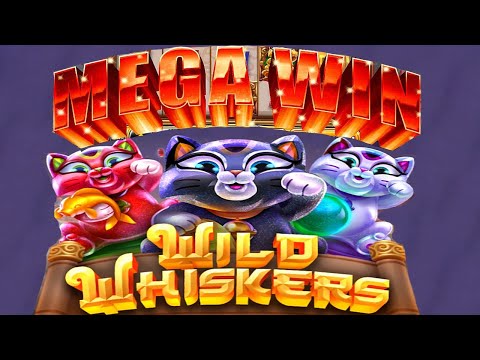 Wild Whiskers NON-STOP BONUS MEGA WIN Chumba Casino