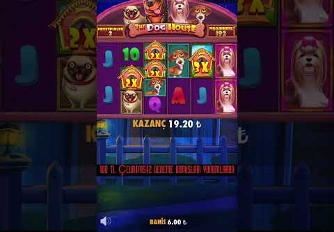 Asi Karabaşa Tasmayı Taktık | The Dog House Mega Kazanç #casinoslot #slot #shorts